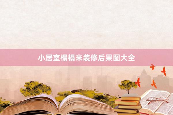 小居室榻榻米装修后果图大全