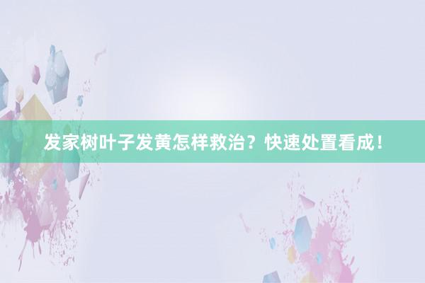 发家树叶子发黄怎样救治？快速处置看成！