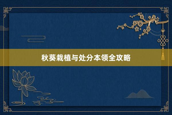 秋葵栽植与处分本领全攻略