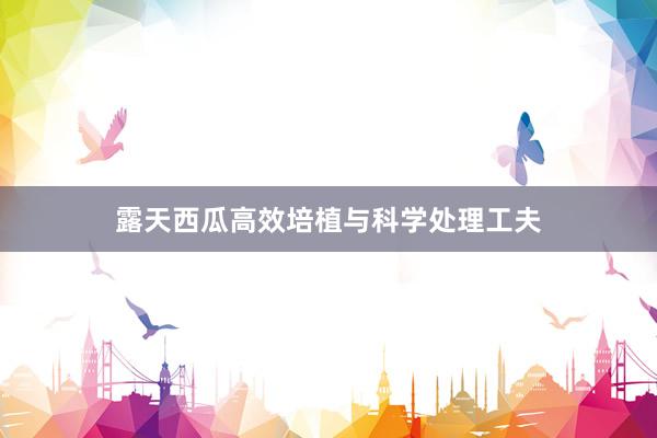露天西瓜高效培植与科学处理工夫