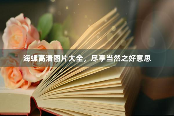 海螺高清图片大全，尽享当然之好意思
